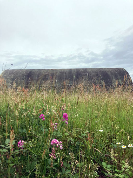 Hangarette Aéroport de Tours